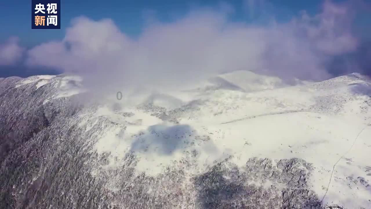 逃离海滩的女孩
