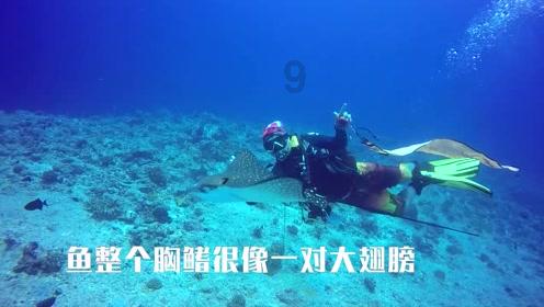菠萝包怎么没菠萝的？游戏画面