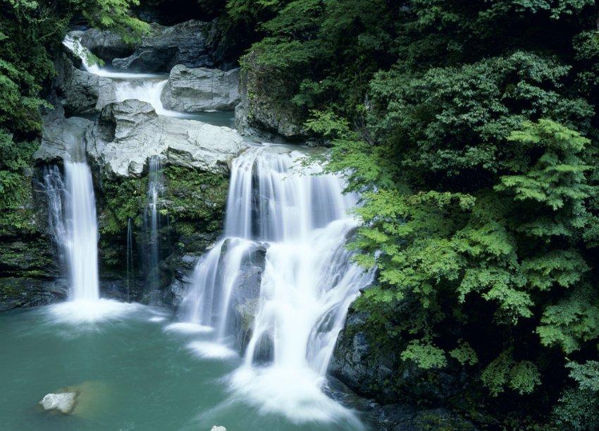 经济日报：央企经营稳健量增质升